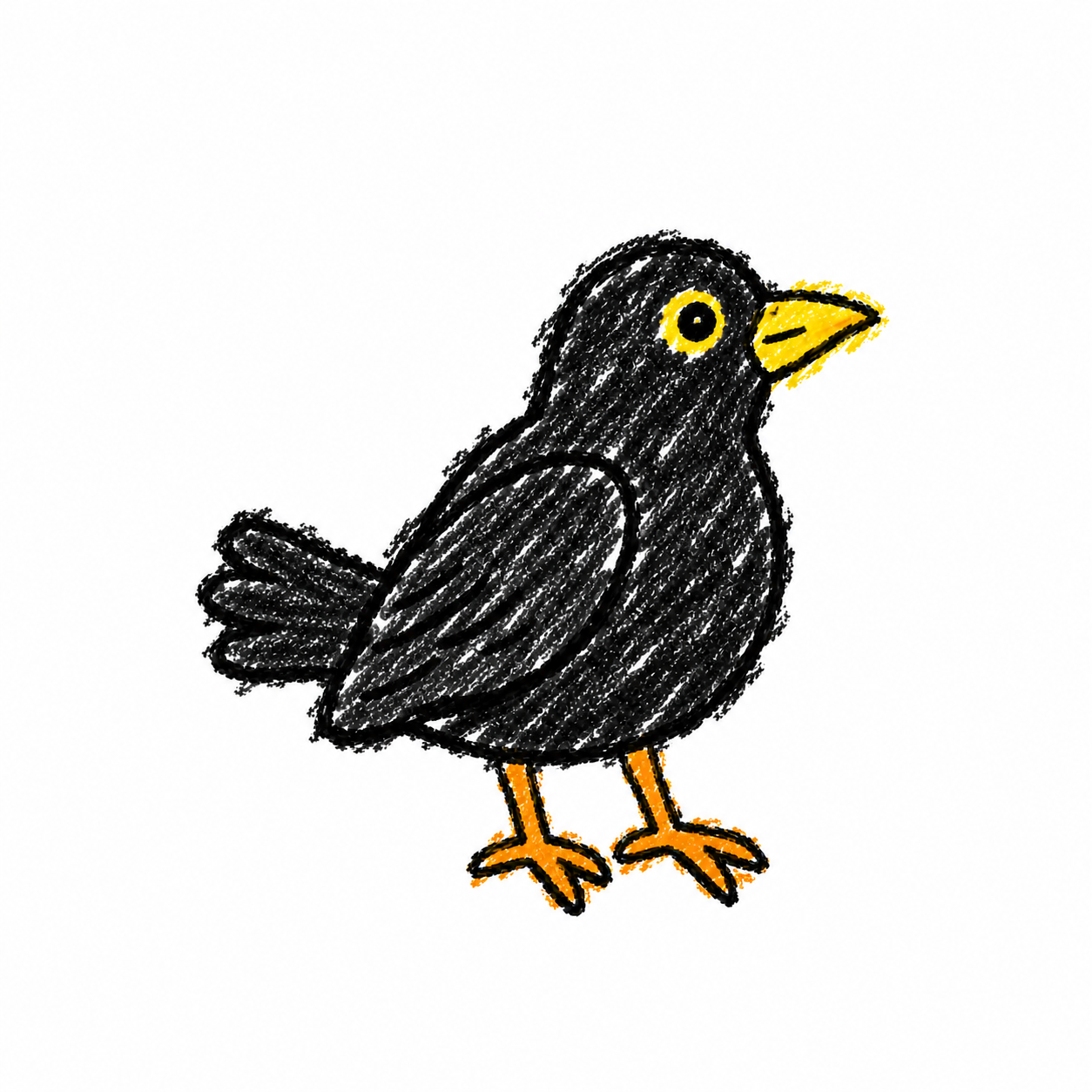 Common blackbird