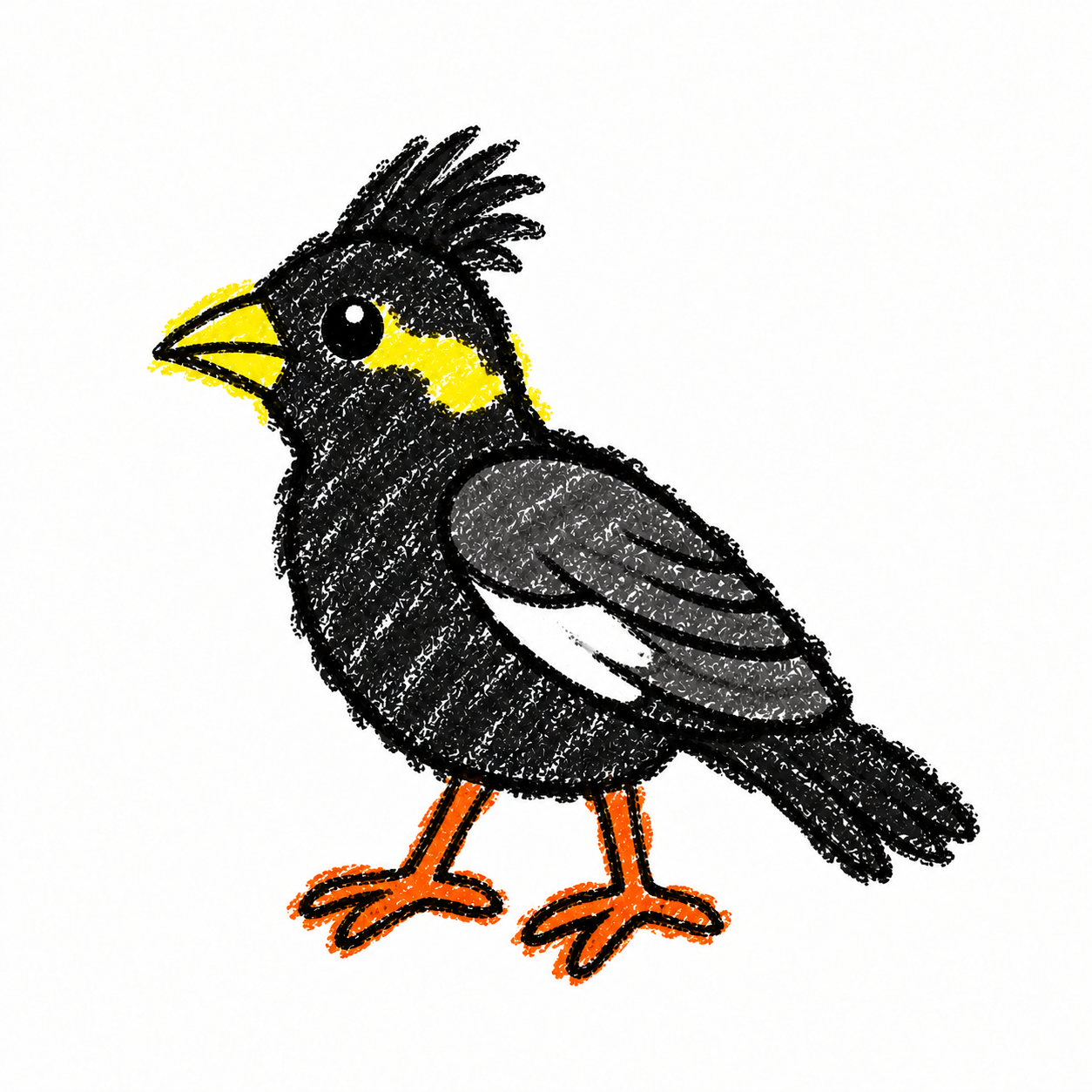 Crested myna