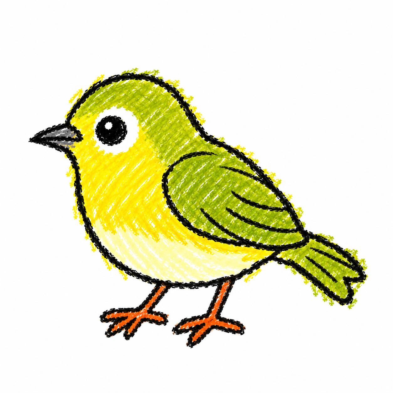 White-eye