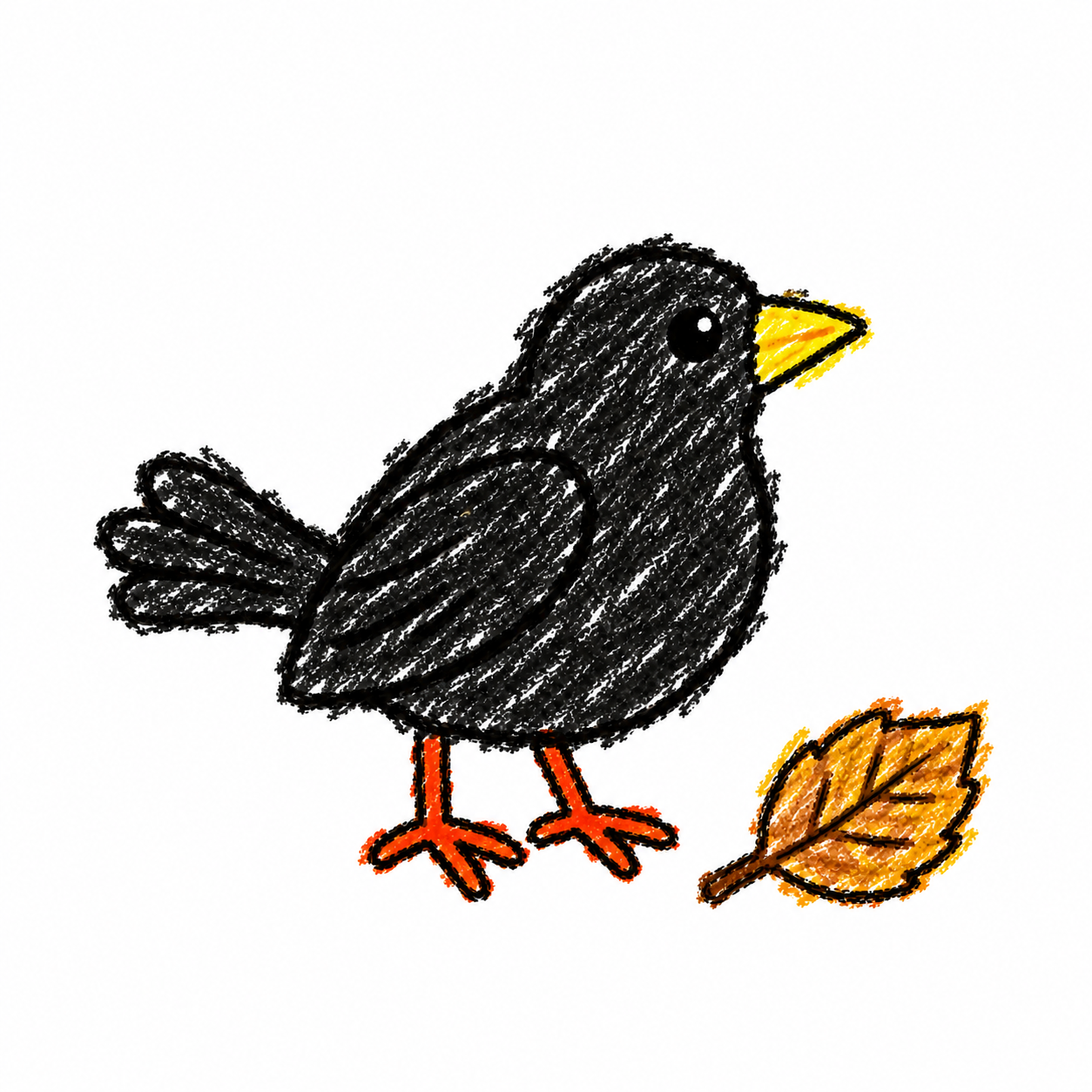 Common blackbird Scene