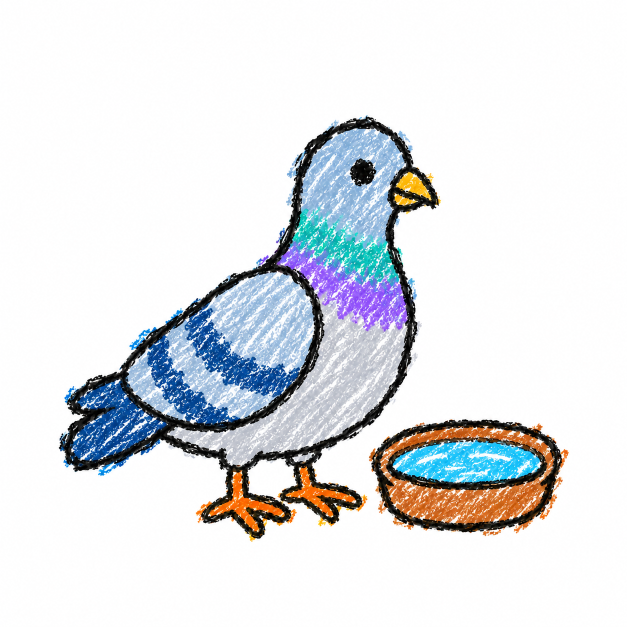Rock dove Scene