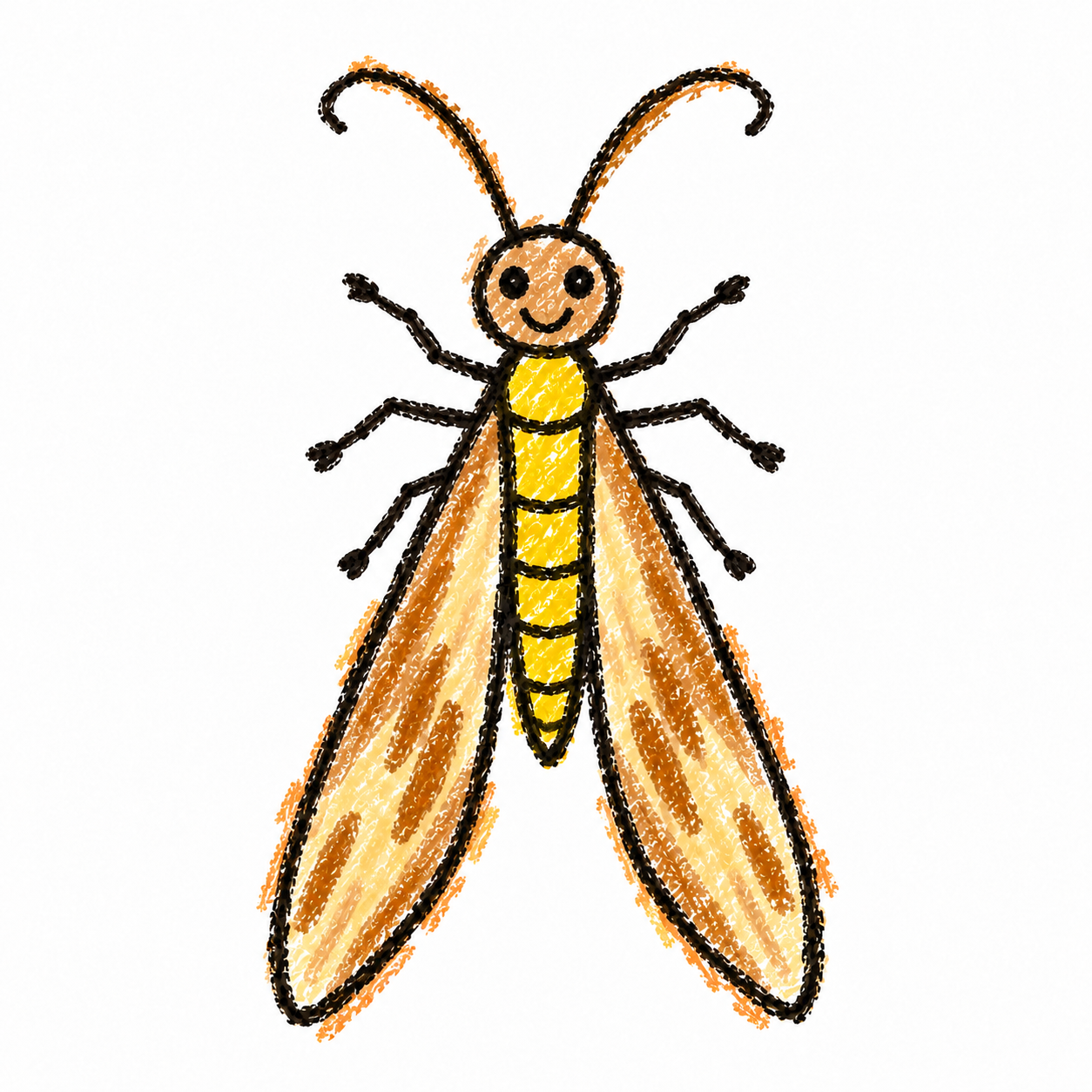 Clothes moth