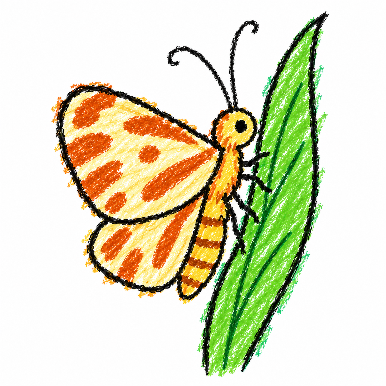 Tiger moth Scene