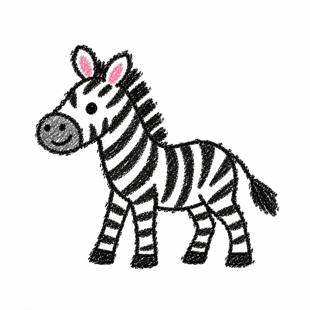 Zebra