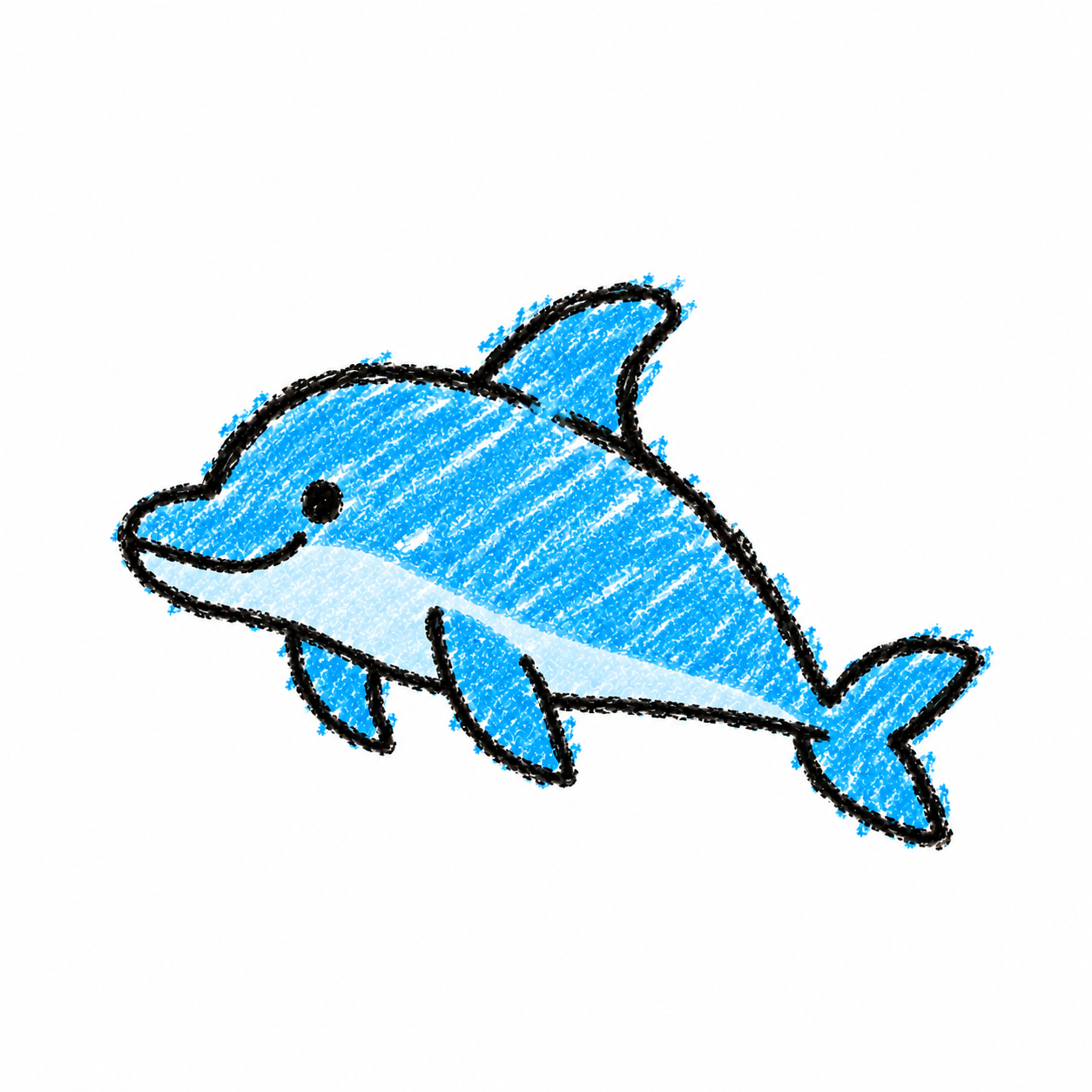 Bottlenose dolphin