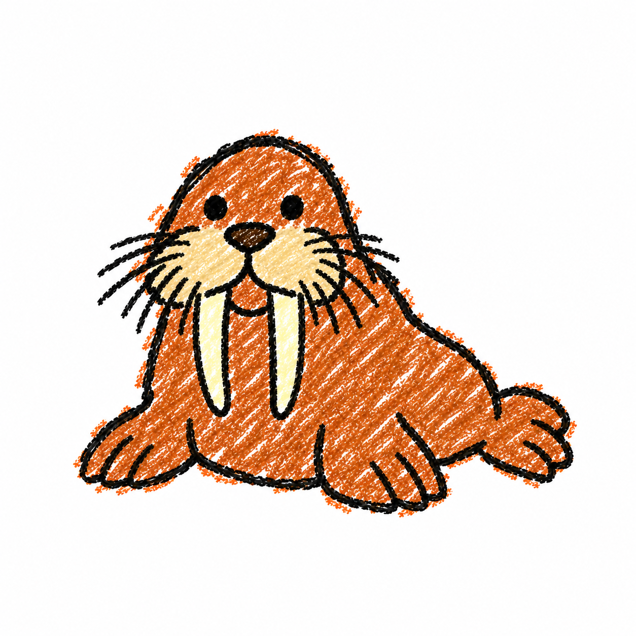 Walrus
