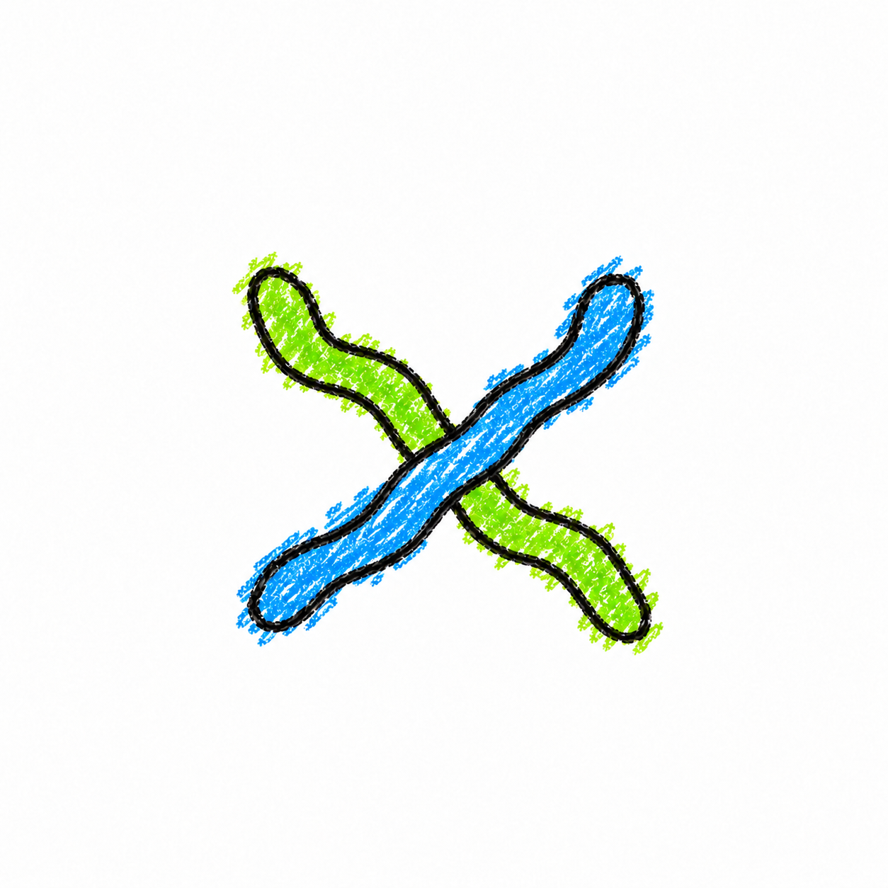 Filamentous Bacterium (Diagram) Scene