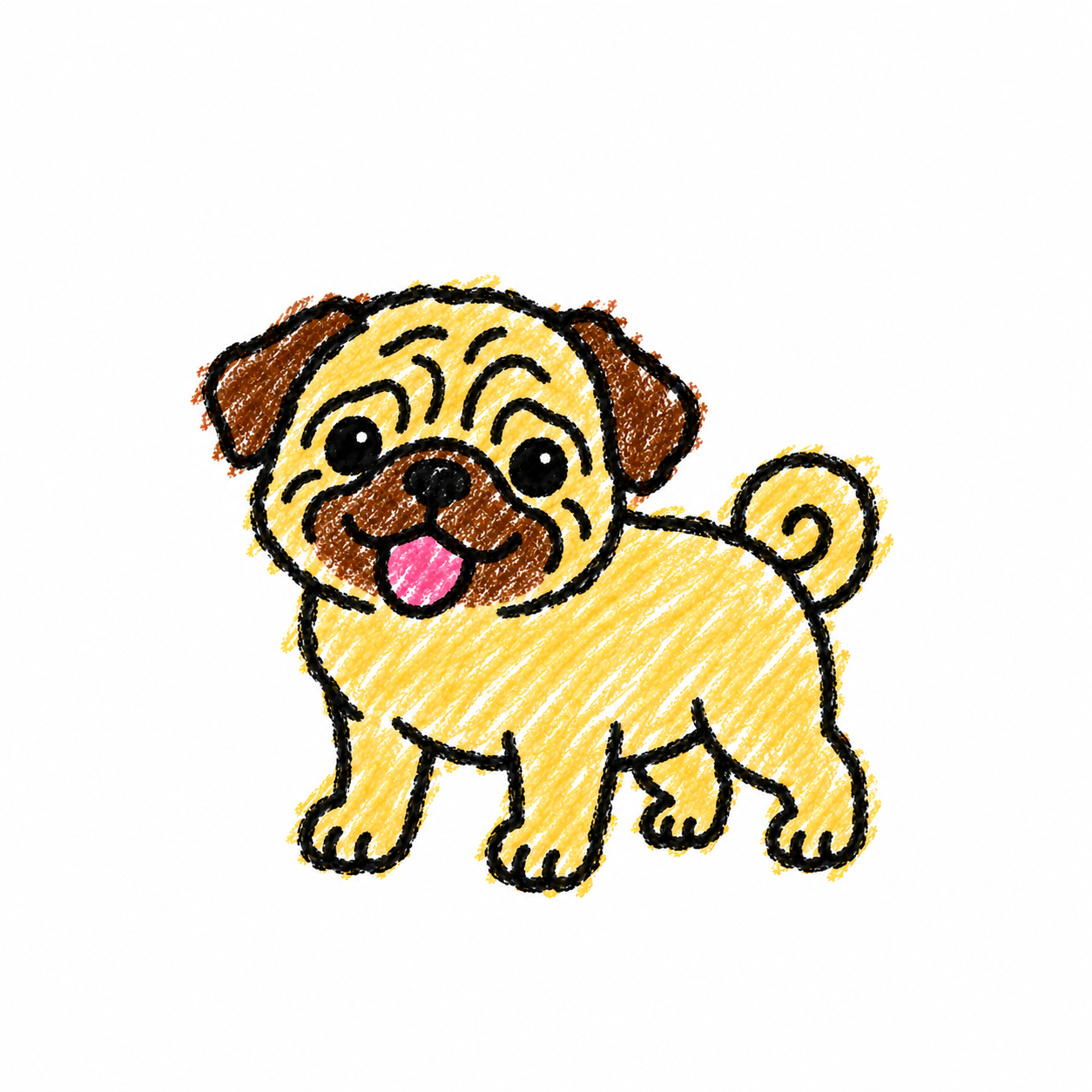 Pug