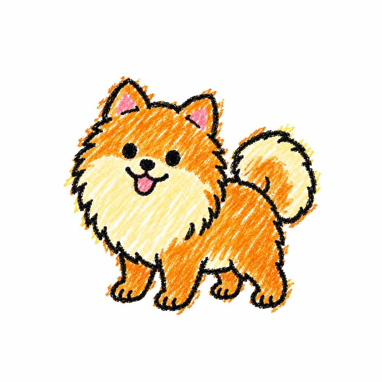 Pomeranian