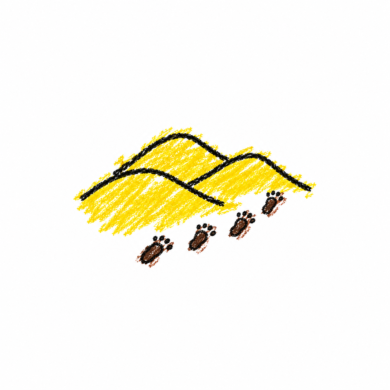 Dunes de sable