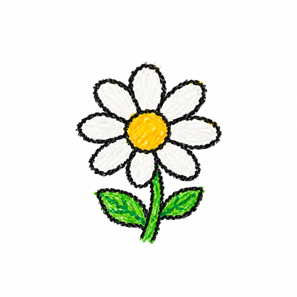Stokrotka
