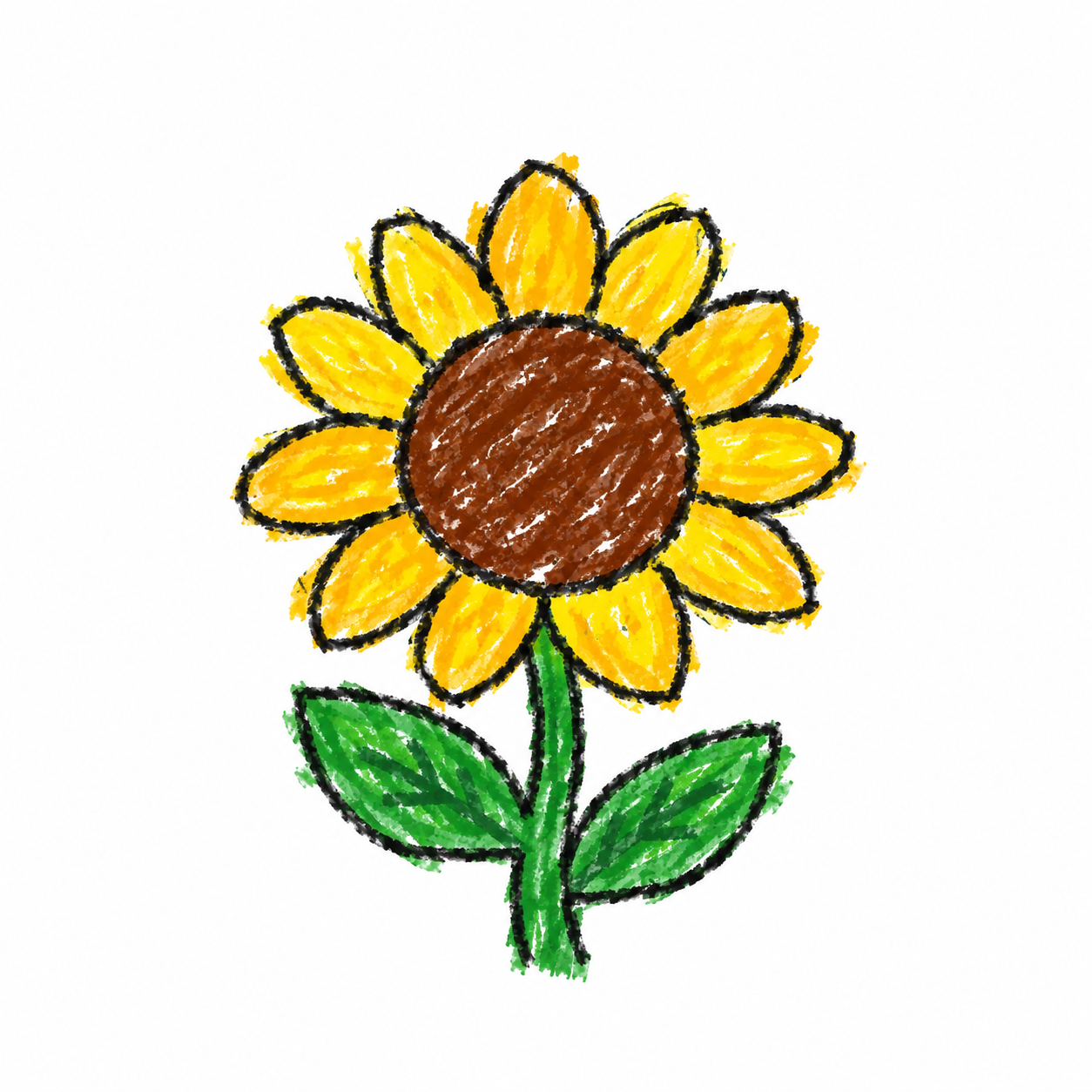 Słonecznik