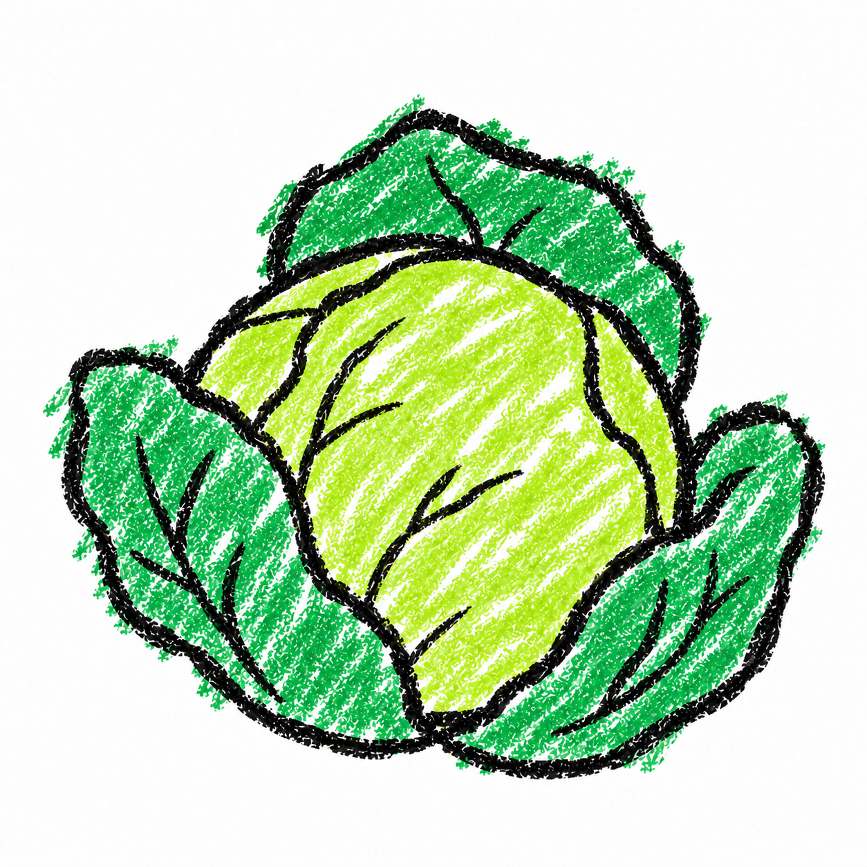 Cabbage