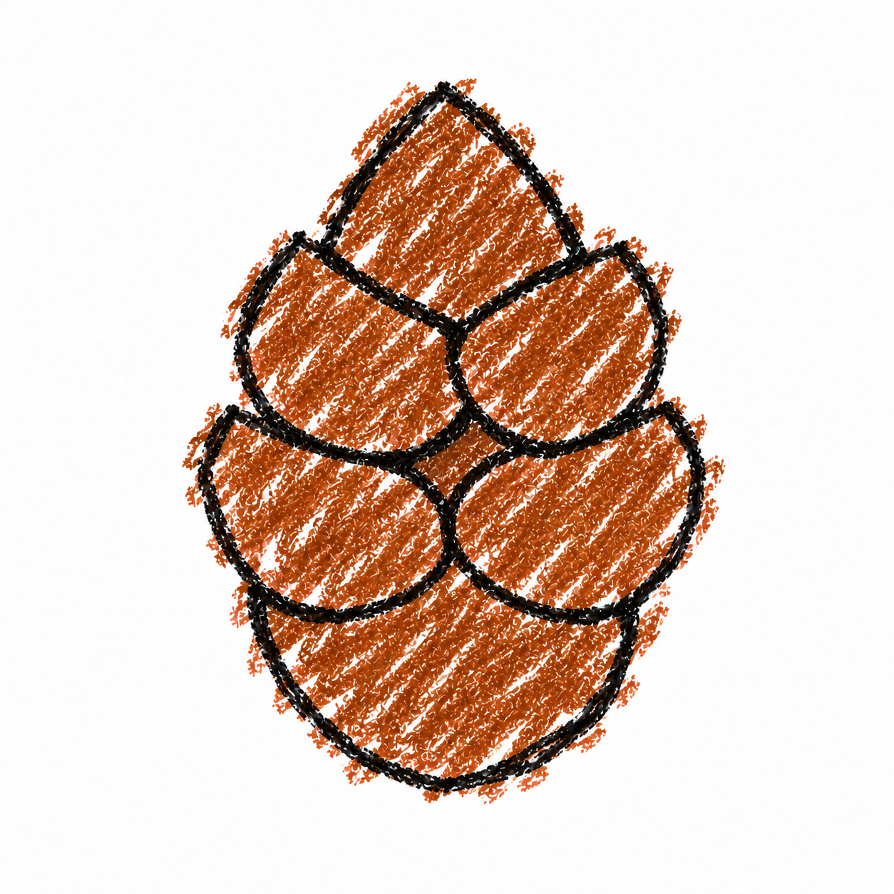 Pine cone