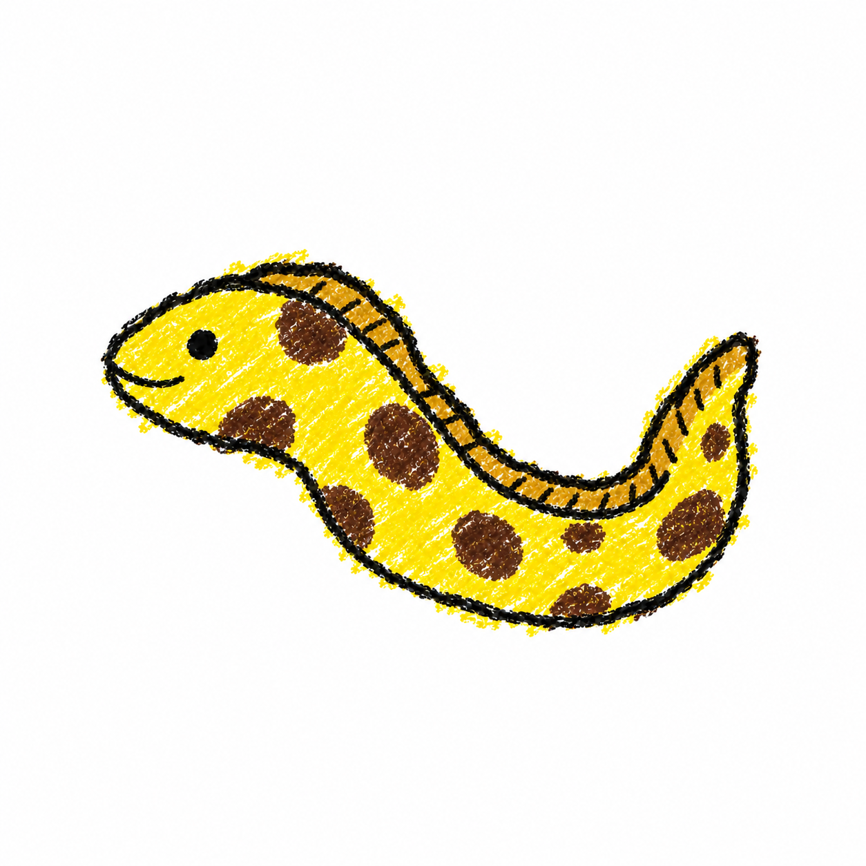 海鳗
