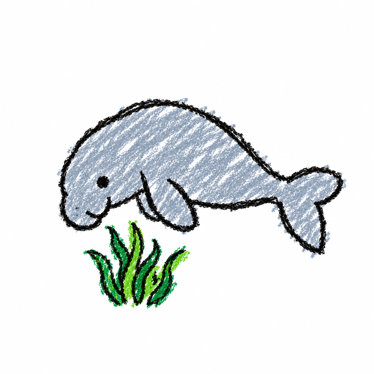 Dugong i morska trava